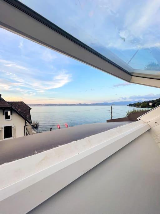 Le Cocon Du Leman Un Espace Cosy Ou Vous Retrouver Publier ภายนอก รูปภาพ